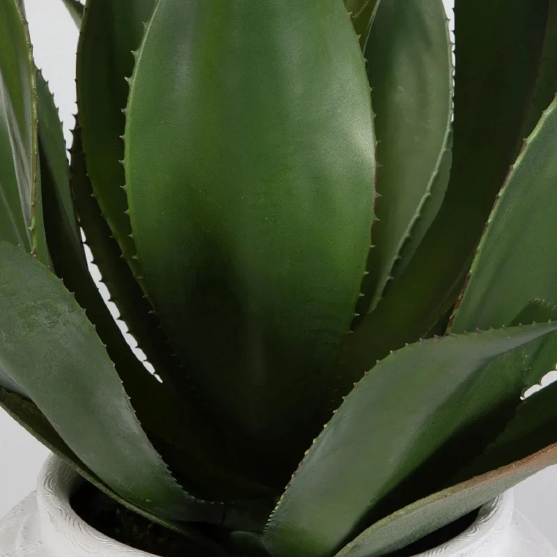 Track lighting with frosted glass shadesTierra Agave Centerpiece With Vase