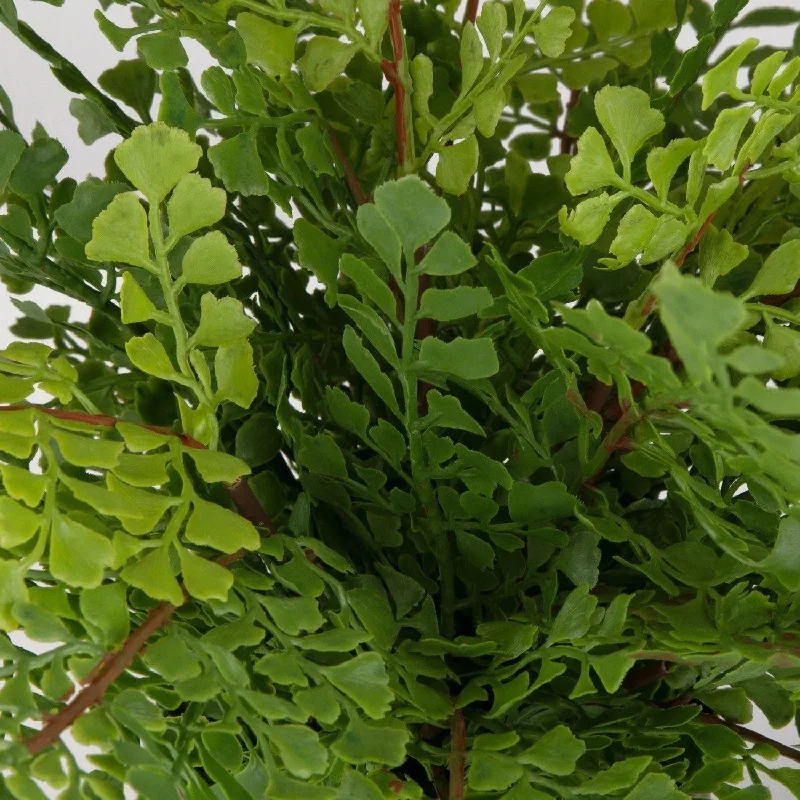 High - lumen track lighting for bright spacesMaidenhair Fern Container