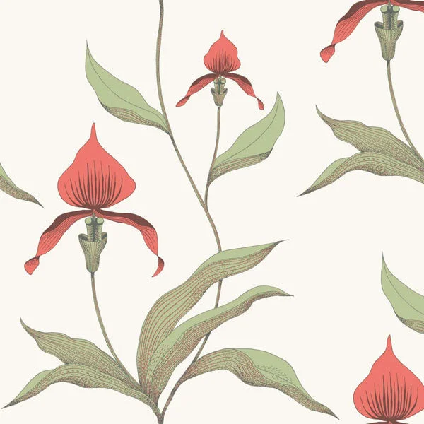 Orchid Wallpaper by Cole & Son