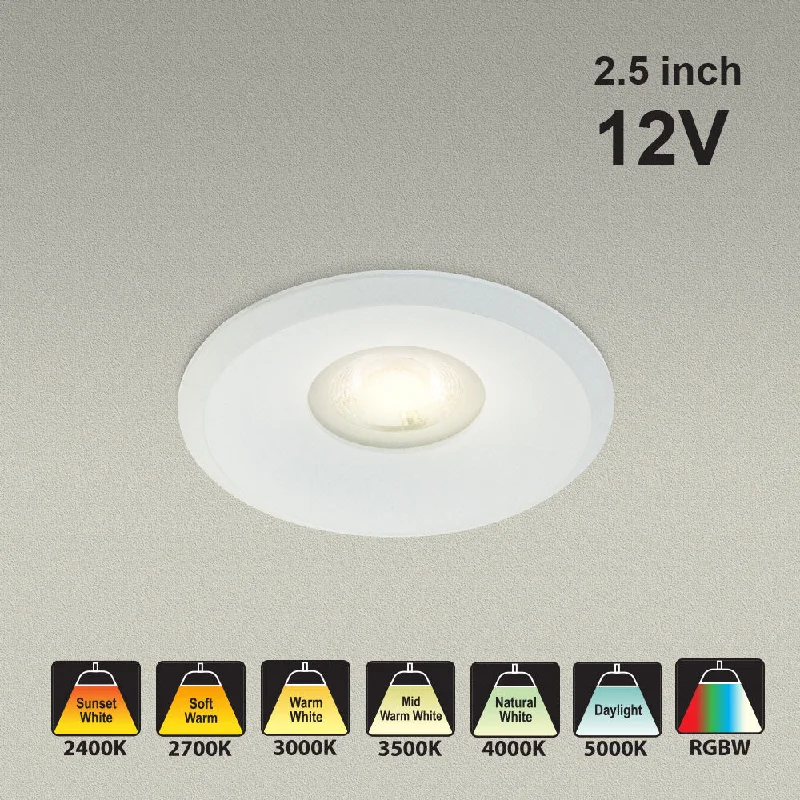 Modern track lighting with LED bulbsVBD-MTR-8W Low Voltage IC Rated Downlight LED Light Fixture, 2.5 inch Round White