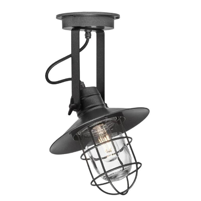 Edison light bulbs with a matte glass finishHarbour Outdoor & Bathroom Flush Mount - 6 Inch - Pewter