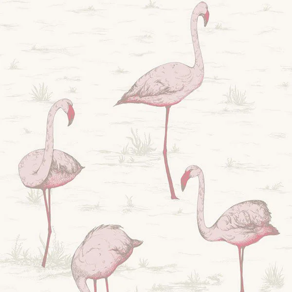 Flamingos Wallpaper by Cole & Son