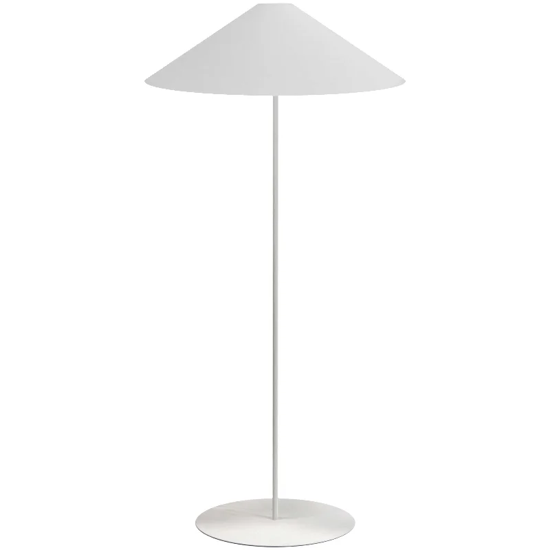 Smart Floor Lamp with Voice Control and Bluetooth ConnectivityMaine Floor Lamp