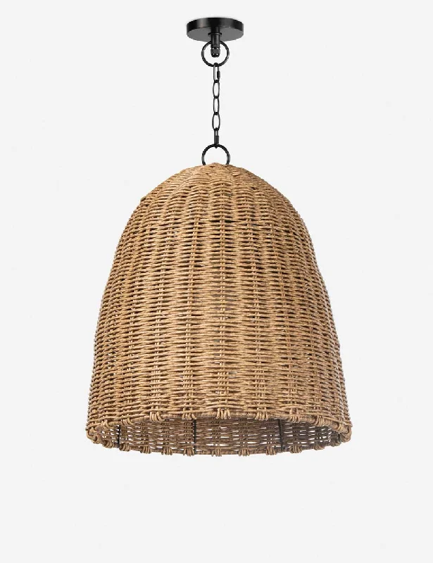 Scandinavian Style Ceiling Lights with Light Wood AccentsCoastal Living Beehive Outdoor Pendant Light by Regina Andrew