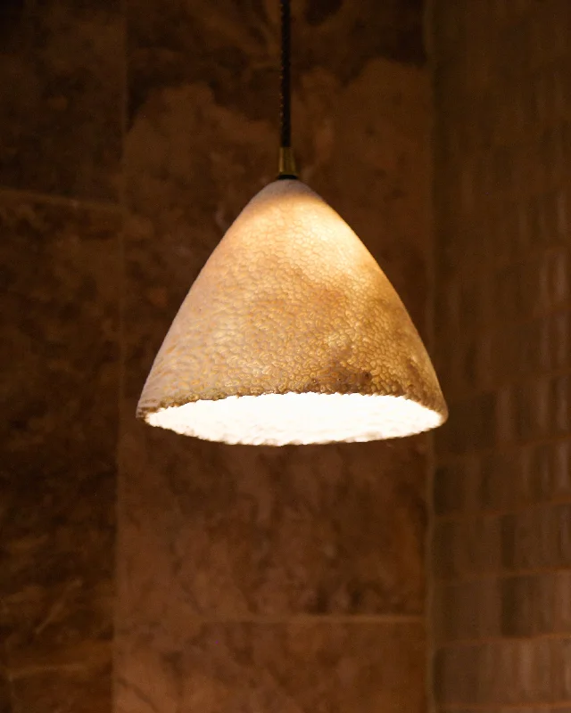 Mid - Century Modern Ceiling Lights with Simple, Sleek LinesFossil Coral Cone Hanging Pendant